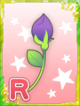 Thumbnail for version as of 08:01, 4 March 2019