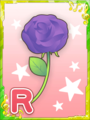Thumbnail for version as of 08:01, 4 March 2019